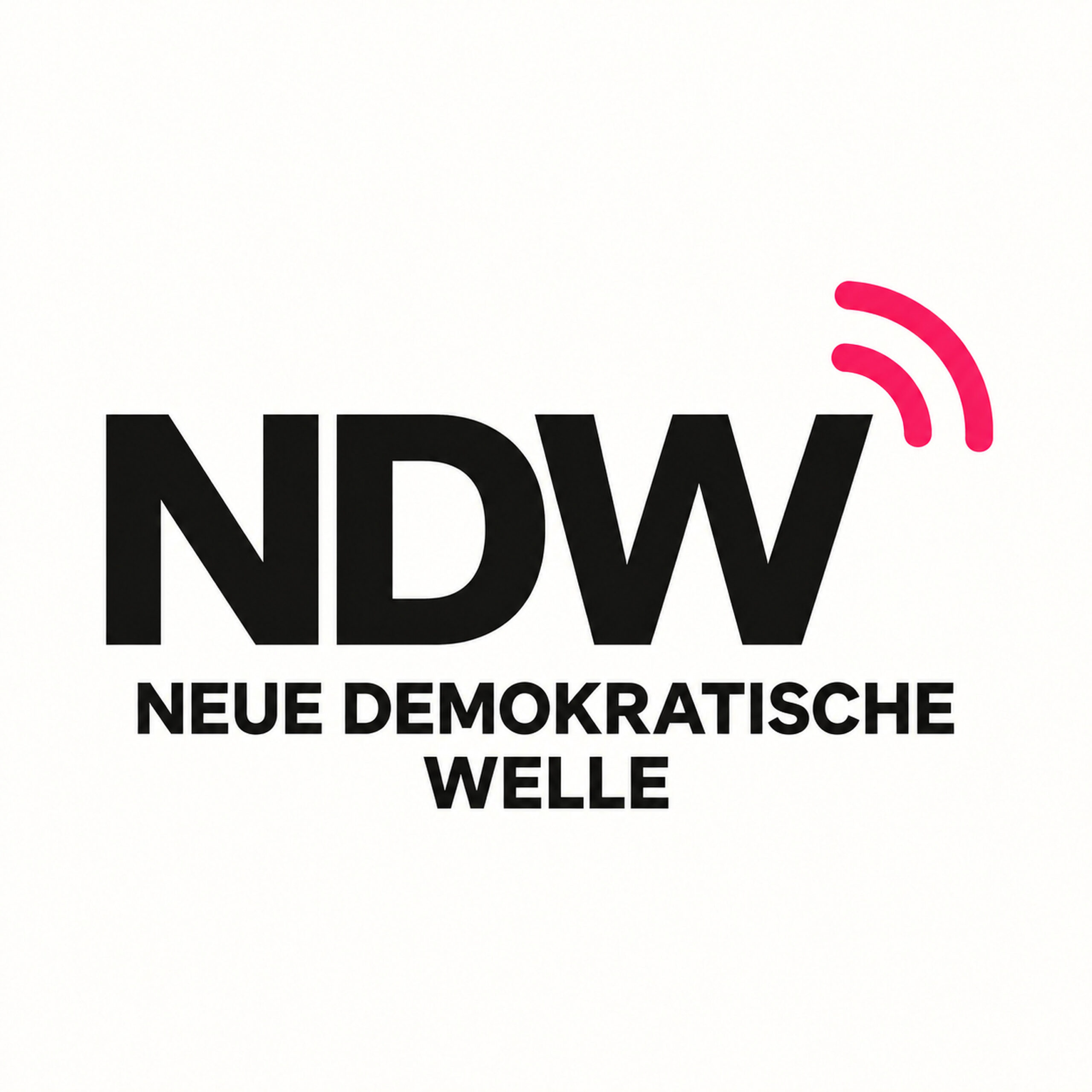 Neue Demokratische Welle – Gespräch